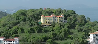 Liquidación, embargos y concesiones: el laberinto de isla Perico