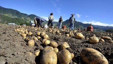 Piden elevar vigilancia en el agro