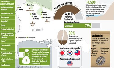 Aroma del geisha imanta al turismo