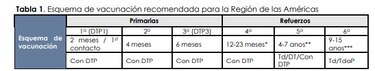 Brote de tosferina en Panamá 2025: la cifra más alta desde 2019, alerta la OPS