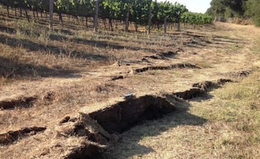 Cambios  magnéticos precederían terremotos