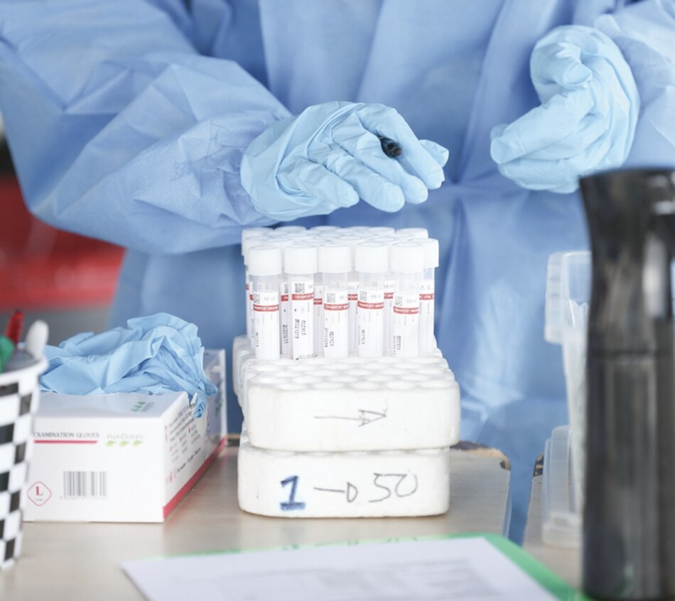 Indicadores claves de la covid-19, en ascenso