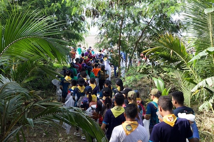 Voluntarios retiran 30 toneladas de desechos en limpieza de playa de Costa del Este