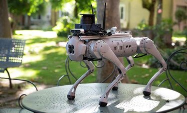 Diseñan un perro-robot capaz de guiar a personas con discapacidad