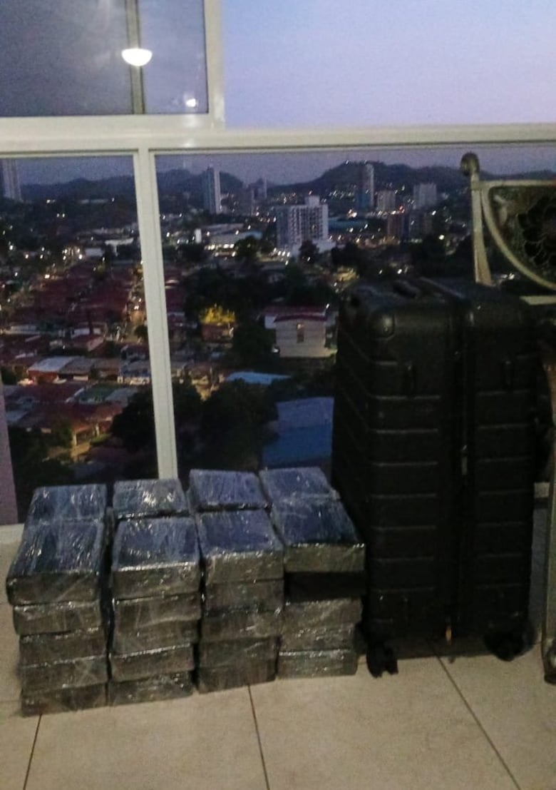 51 personas fueron aprehendidas en las operaciones ‘Ballena’ y ‘Éxodo’, desarrolladas en 6 provincias del país