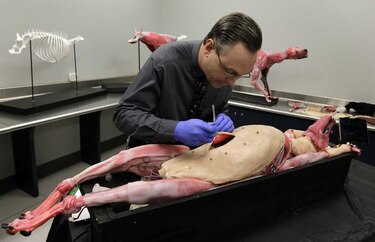 Alberta es una perra espeluznante, pero es un gran cadáver