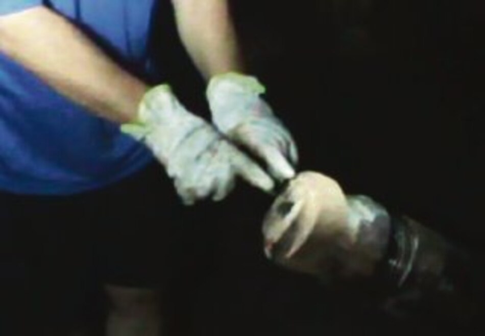 Demandan a dueños de la mina San José