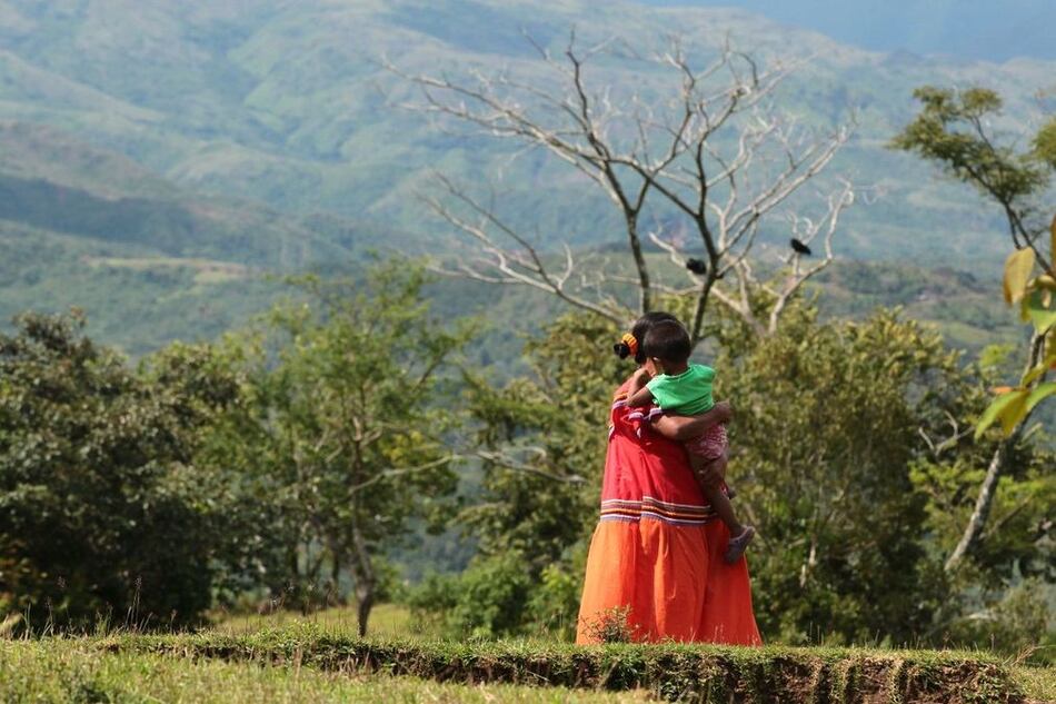 ¿Y los nacimientos?