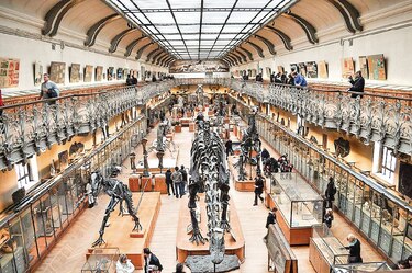 Especies extintas vuelven a la vida en museo de París