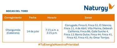 Trabajos de mantenimiento en la red eléctrica del 14 al 20 de julio 2025
