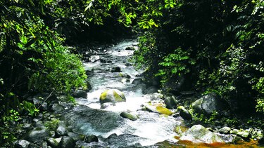 Conexión con la naturaleza