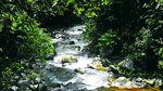 Conexión con la naturaleza