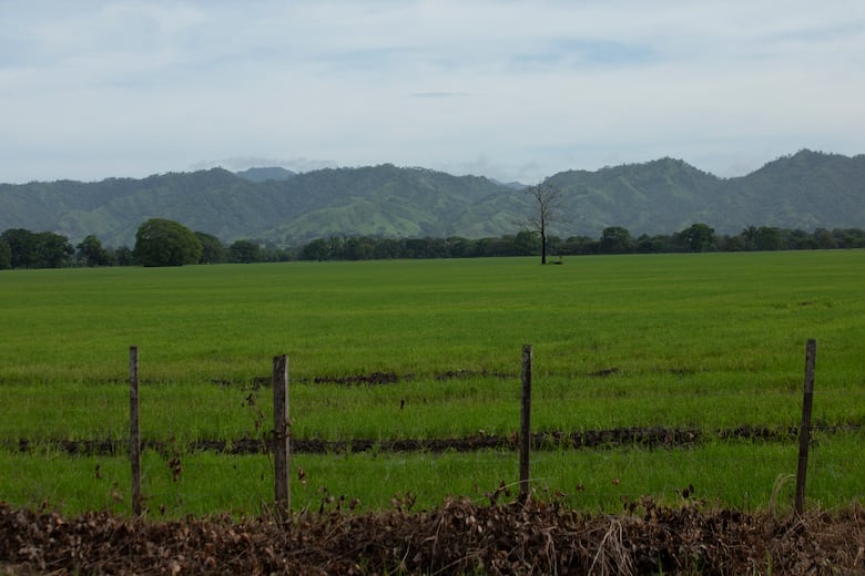 El ‘alma libre’ del santeño y su lucha por Cerro Quema