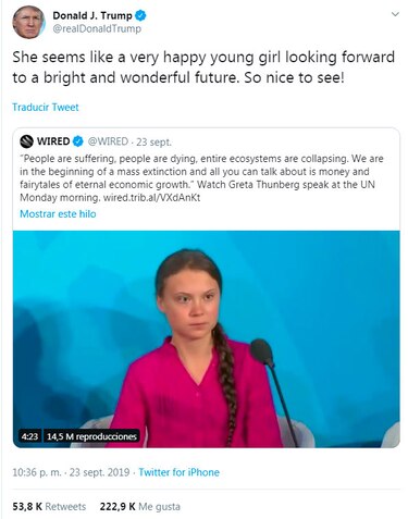 Greta Thunberg ¿figura o mensaje?
