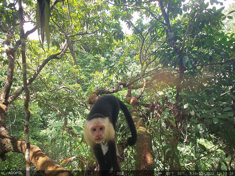 Admiten recursos contra el estudio de impacto ambiental que avaló el Corredor del Caribe