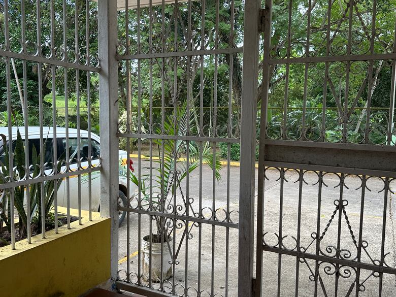 Del dolor al vuelo: la graduación de las mariposas