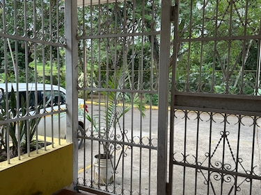 Del dolor al vuelo: la graduación de las mariposas