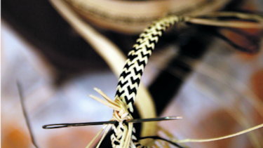 La esencia del sombrero pintao