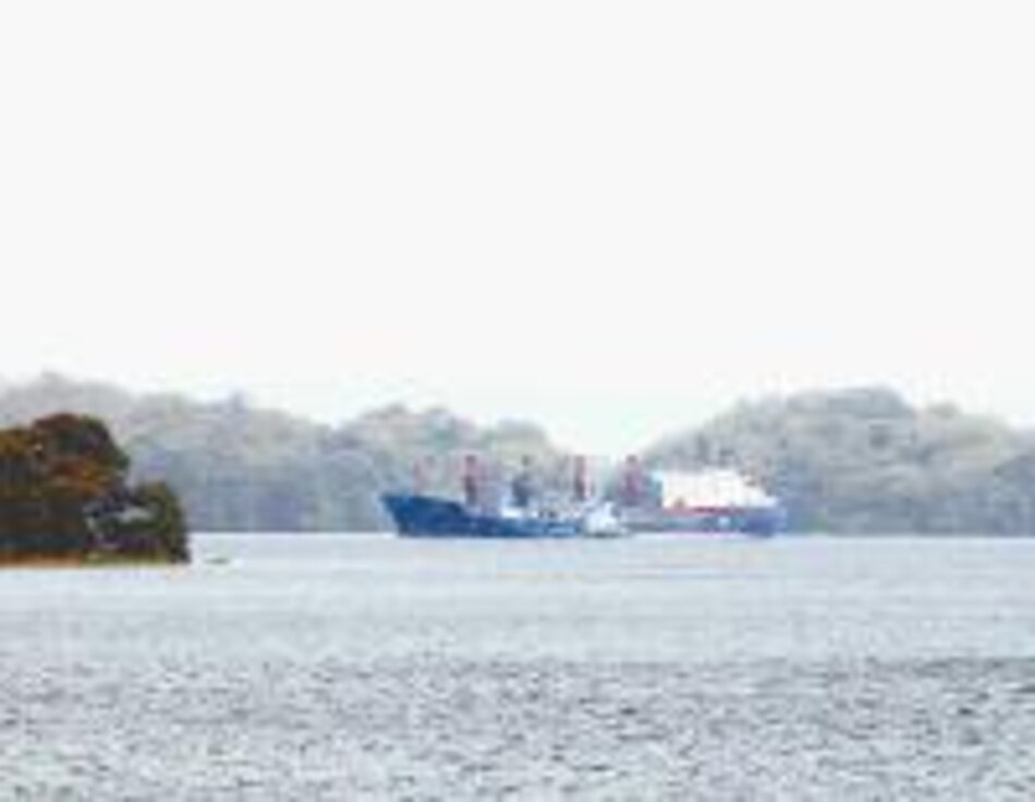 Carguero Diana Z sufre percance en el Canal