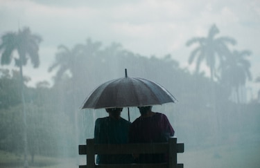 ‘Querido Trópico’ será la película inaugural del IFF Panamá 2025