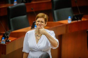 ¿Independencia de criterio o tensiones internas? Diputados de MOCA hablan tras las declaraciones de Grace Hernández