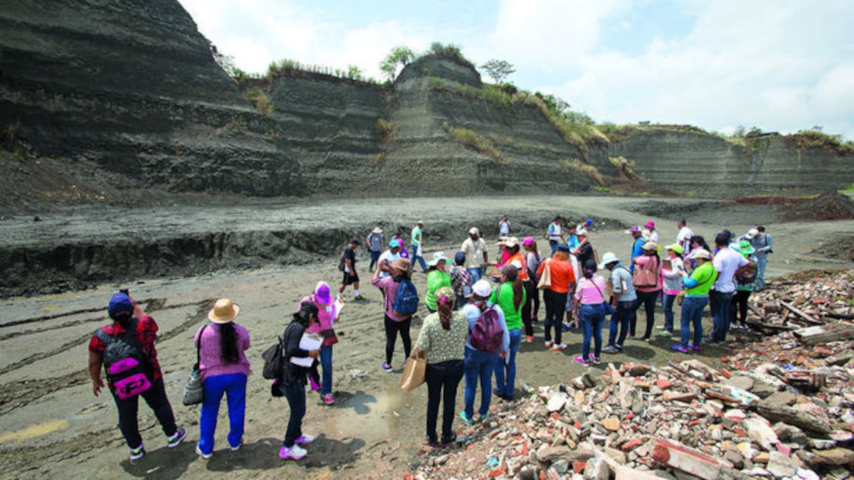 Grupo de maestros y profesores, acompañados por científicos de Stri, visitan esta formación geológica que data del Mioceno.