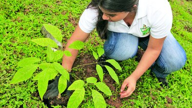 Reducir su ‘huella de carbono’, el nuevo desafío de las empresas