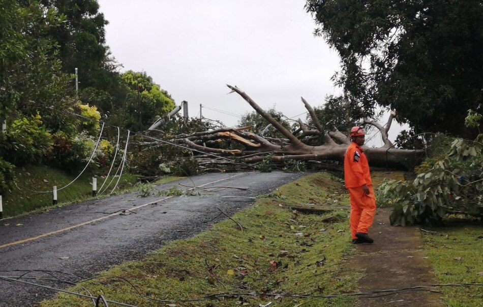 Operaciones en el aeropuerto de Tocumen se normalizan