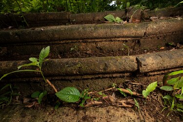 Defensores del patrimonio, en alerta por la inscripción de la Ruta Colonial Transístmica ante la Unesco