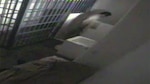 VIDEO: Así fue la fuga de ‘El Chapo’ Guzmán de la cárcel