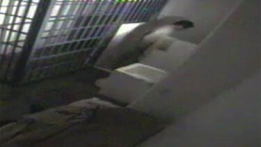 VIDEO: Así fue la fuga de ‘El Chapo’ Guzmán de la cárcel