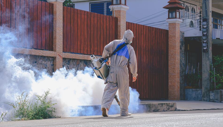 Dengue: 3.5 millones de casos y 1,000 muertes en las Américas en el primer trimestre del 2024