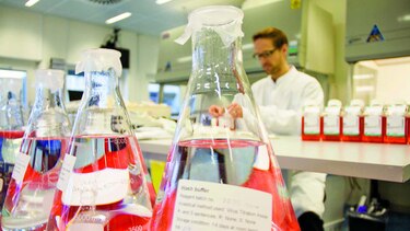 Avance contra el virus del ébola