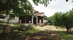 ‘Bienes y Raíces Noriega, S.A. ’