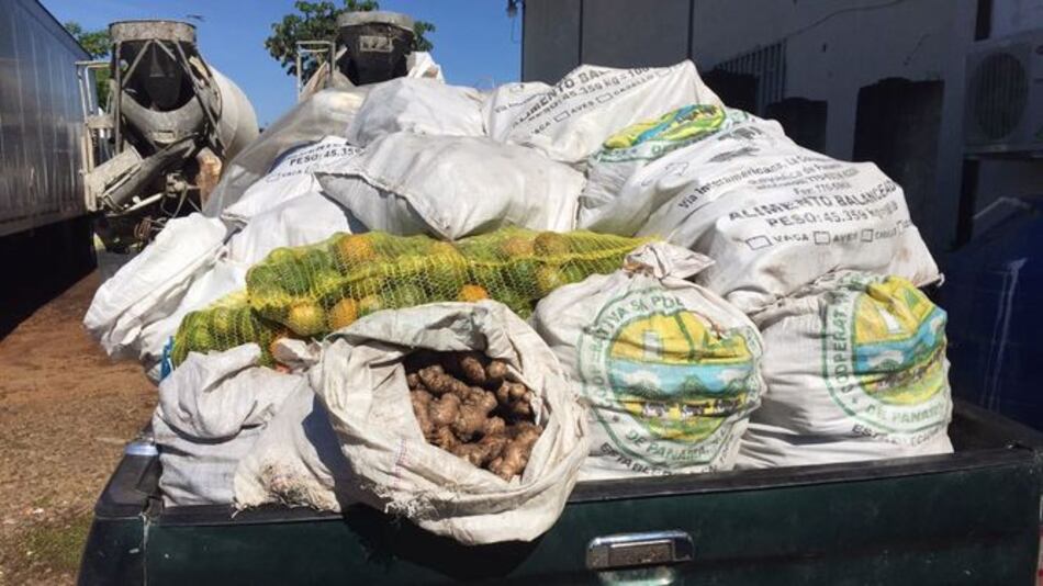 Chiriquí: Decomisan mil 950 libras de ñame y jengibre en zona fronteriza