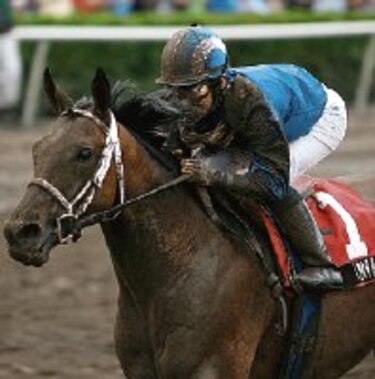 ‘Invasor’ con buenos registros