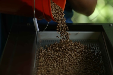 El Canal de Panamá, una ruta con aroma de café