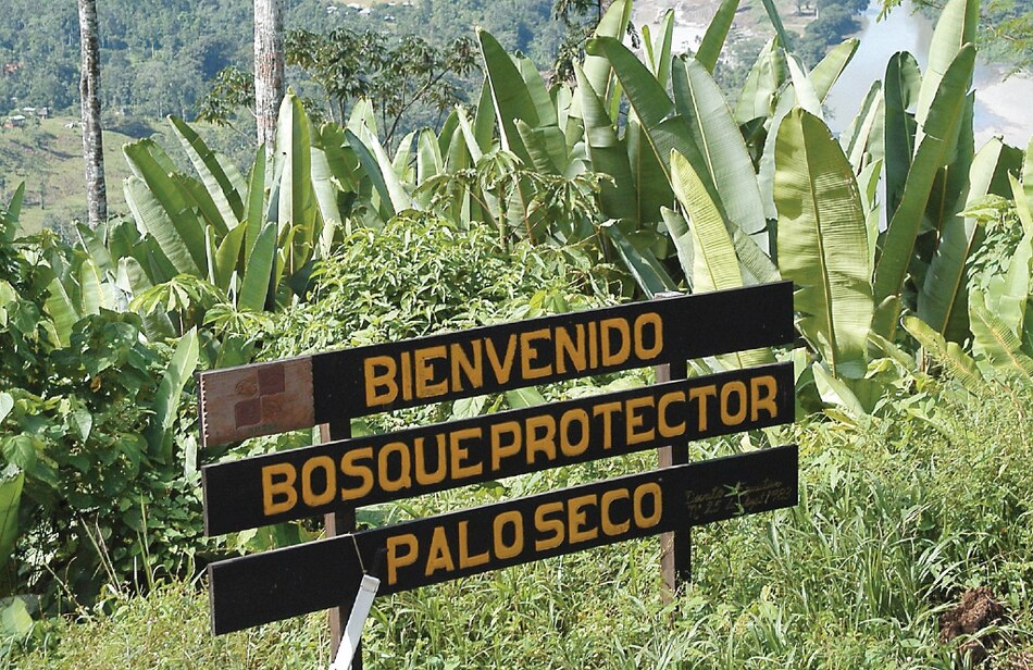 Egesa continúa gestión social y ambiental de Changuinola II