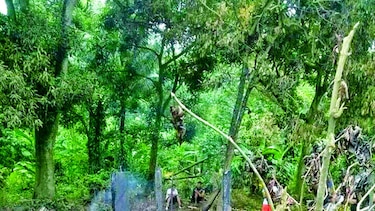 Incendio consume vivienda de humilde familia bananera