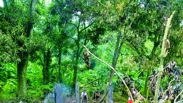Incendio consume vivienda de humilde familia bananera
