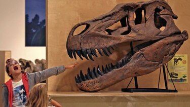 Paseo y emoción entre dinosaurios