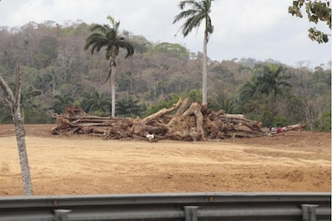 Búnker: fortificación militar convertida en escombros