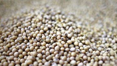 China reduce importaciones de soja brasileña