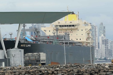 Amador, ¿terminal para cruceros o cargueros?