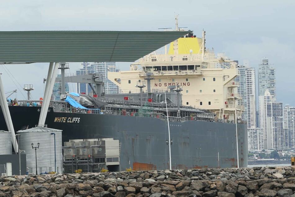 Amador, ¿terminal para cruceros o cargueros?