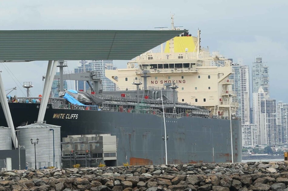 Amador, ¿terminal para cruceros o cargueros?