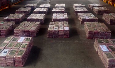 Decomisan en un puerto de Colón más de 1,300 paquetes con droga en un contenedor