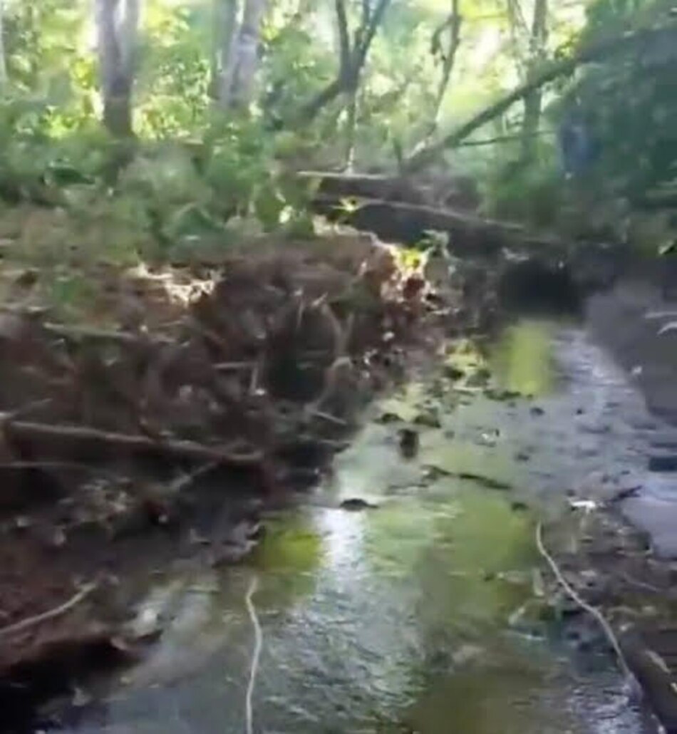 Ubican restos óseos de una mujer reportada como desaparecida