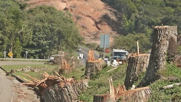 Ensanche de la vía Omar Torrijos afectará parcialmente el Parque Camino de Cruces