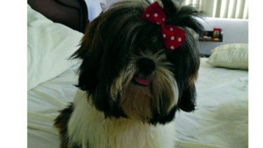 La dulce Nyky